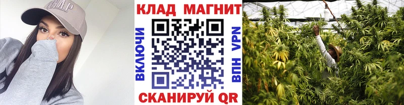Наркота Сызрань Альфа ПВП МЕФ Гашиш Конопля