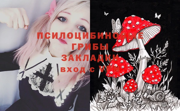 мдпв Абинск