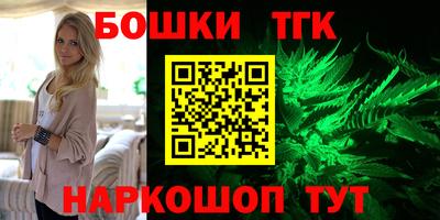 индика Славгород