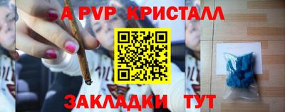 индика Славгород